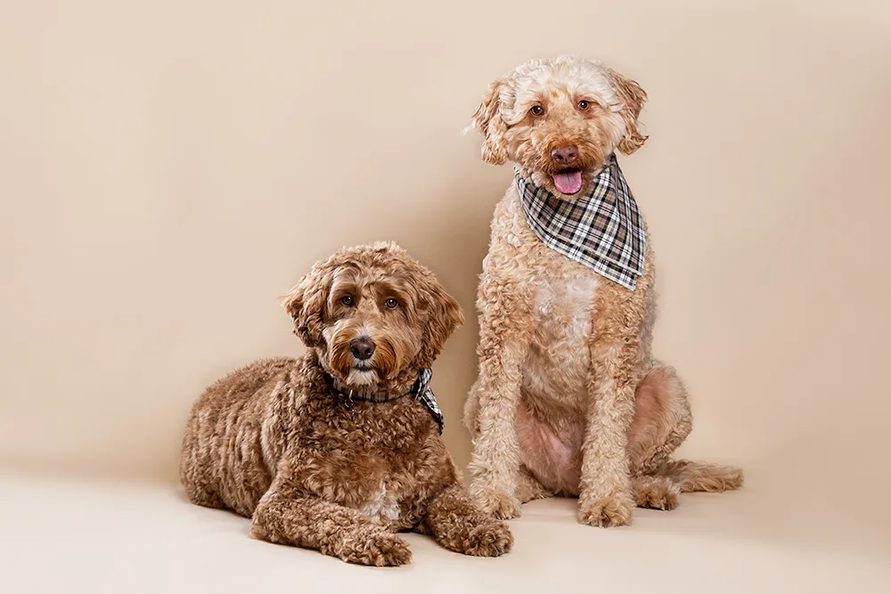 Carrie Nelson Photography