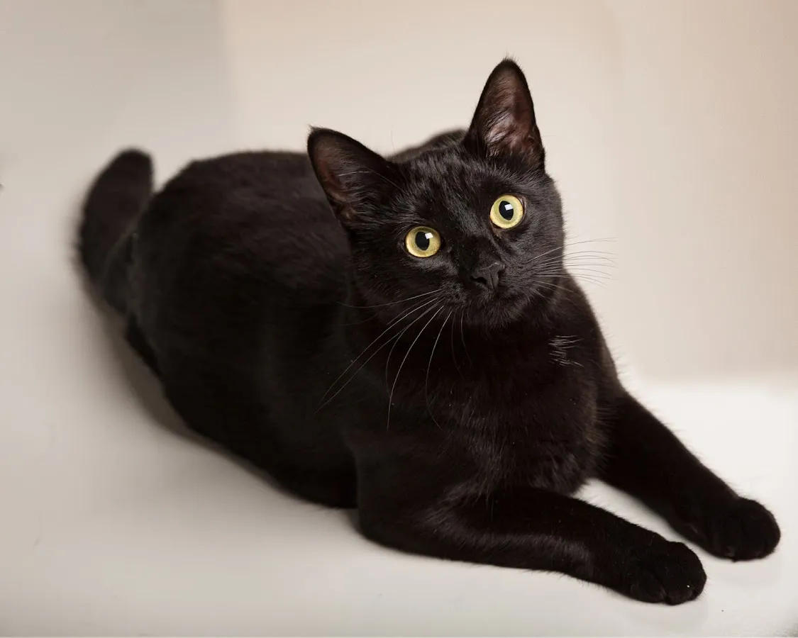 Carrie Nelson Photography photo 2