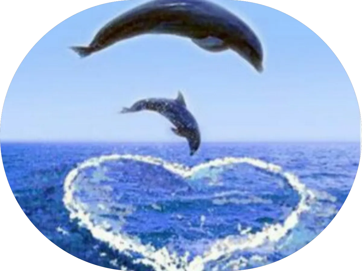 Caruso Physical Therapy and Nutrition, LLC photo 3