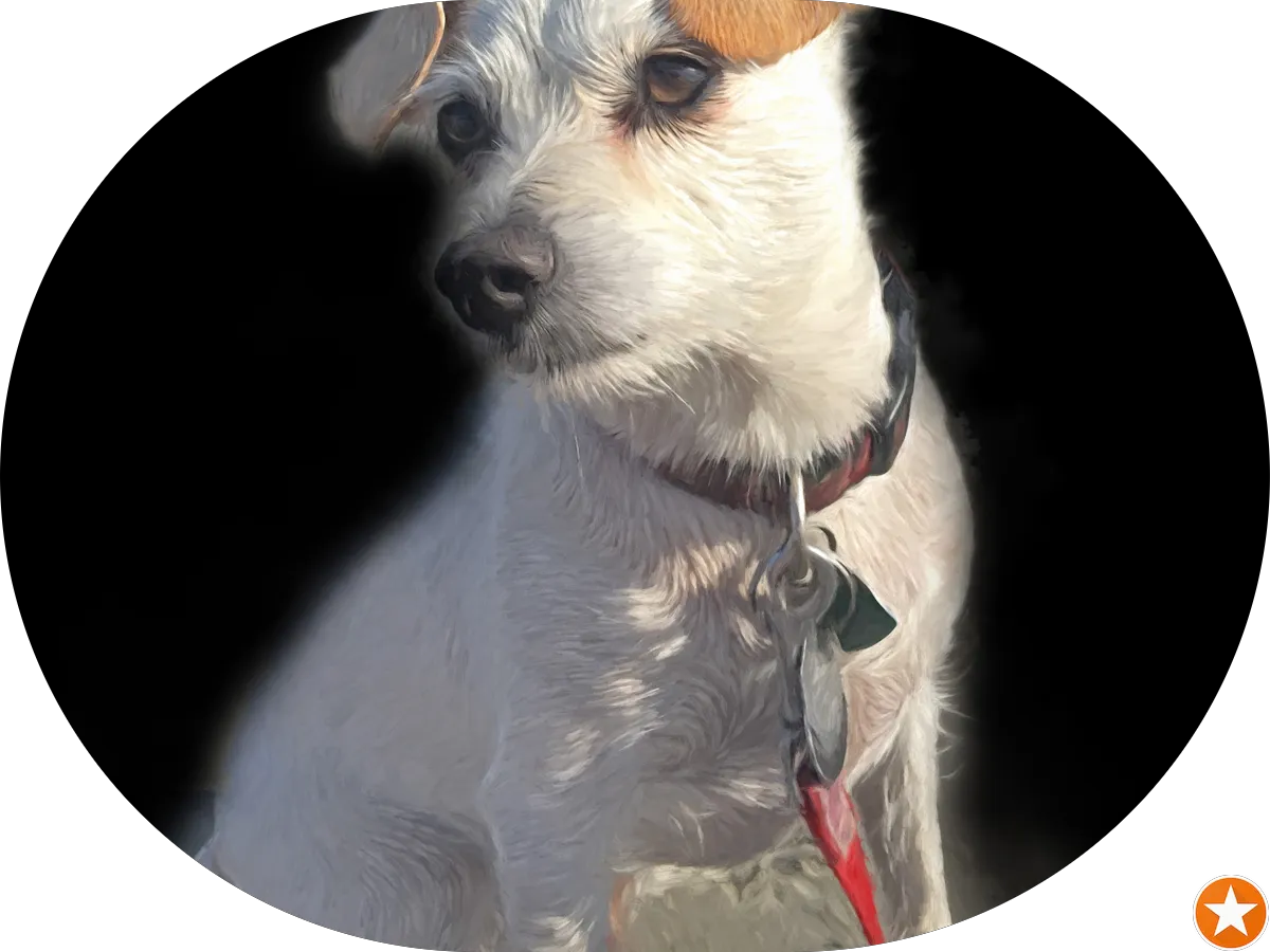 Casale al Mare photo 5