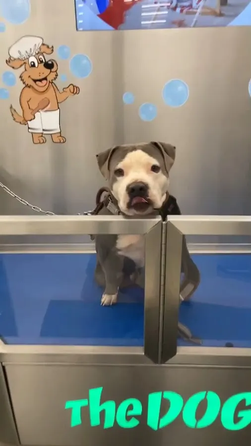 Casey's Project Store photo 4