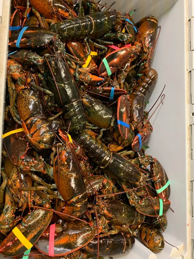 Casino Lobster