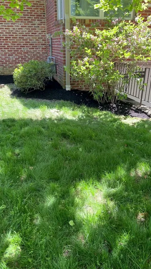 CASTILLO LANDSCAPE SERVICES photo 2