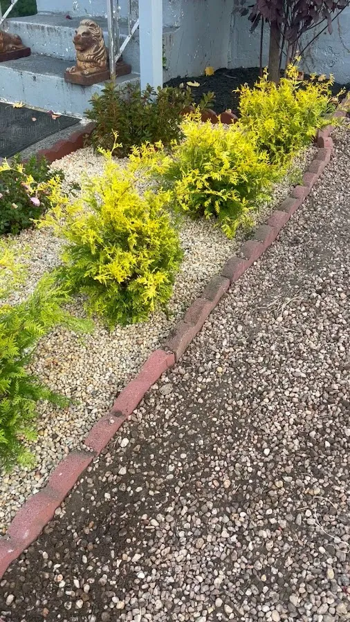 CASTILLO LANDSCAPE SERVICES photo 3