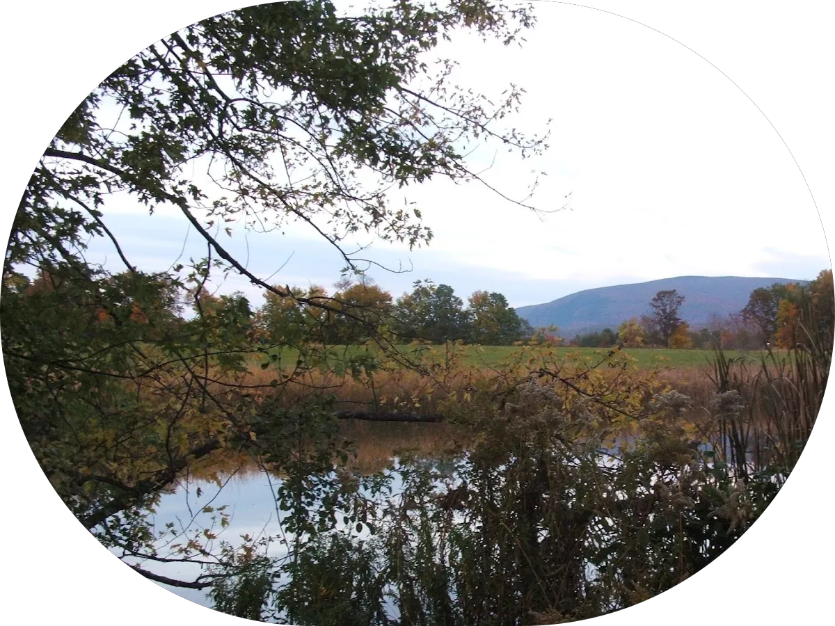 Catering By Mario's photo 4