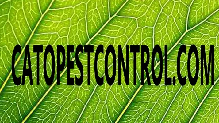 Cato Termite and Pest Control