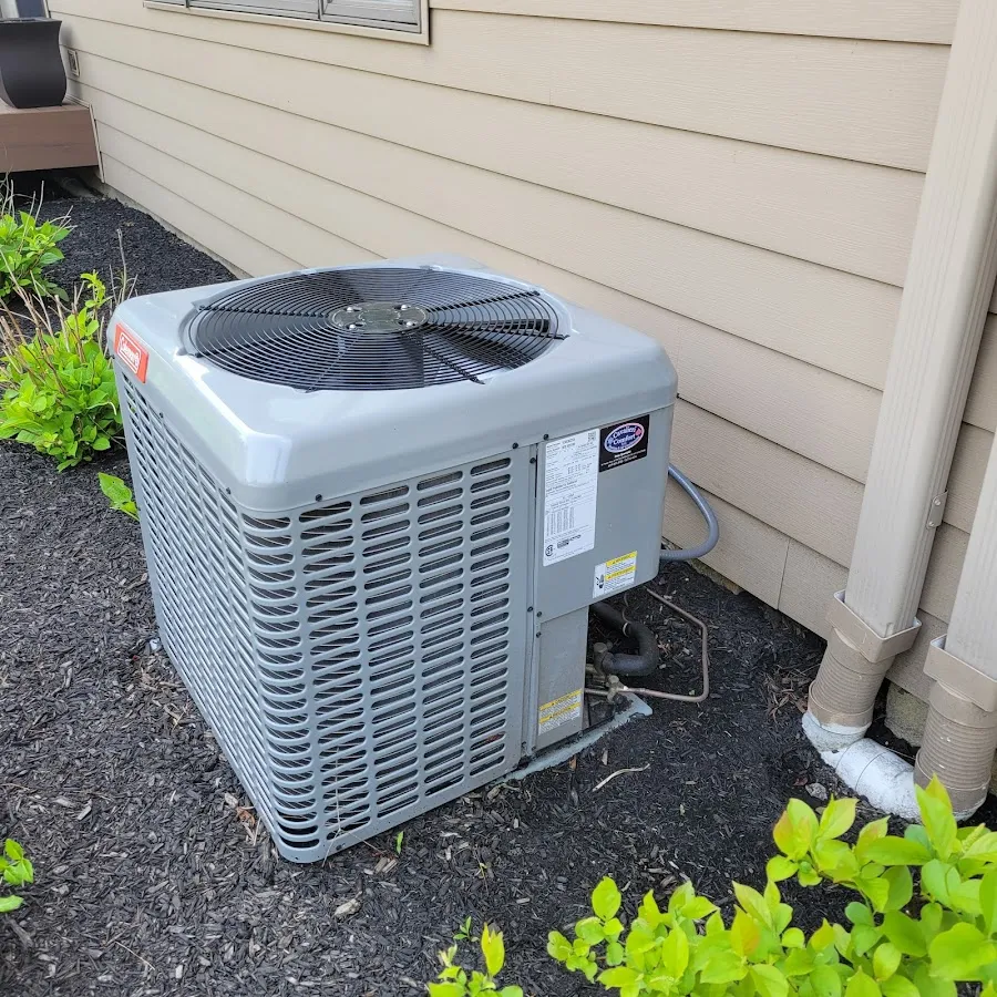 Cavalieri Comfort photo 4