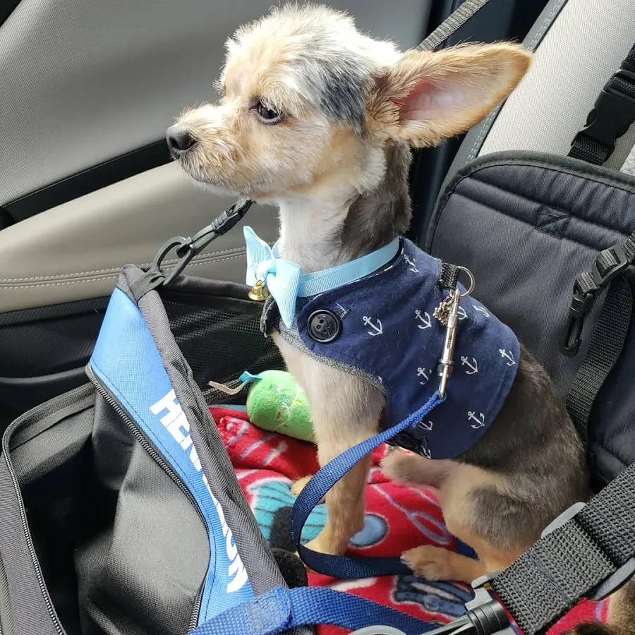 Cedarview Kennel Boarding & Grooming for Dogs and Cats