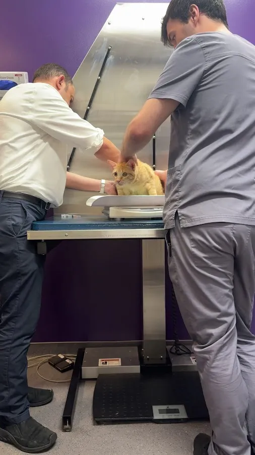 Center City Veterinary Hospital photo 4