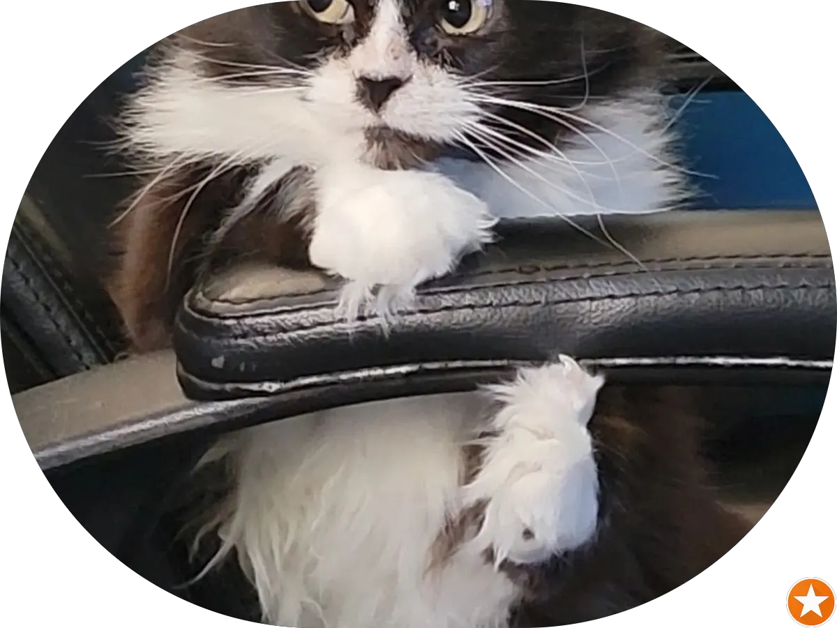 Center for Counseling Services LLC - Bear Tavern Rd