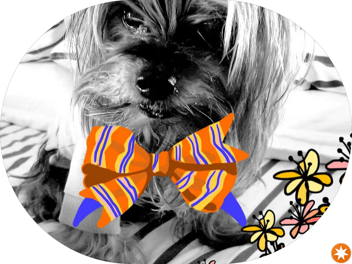 Center Stage Antiques photo 5