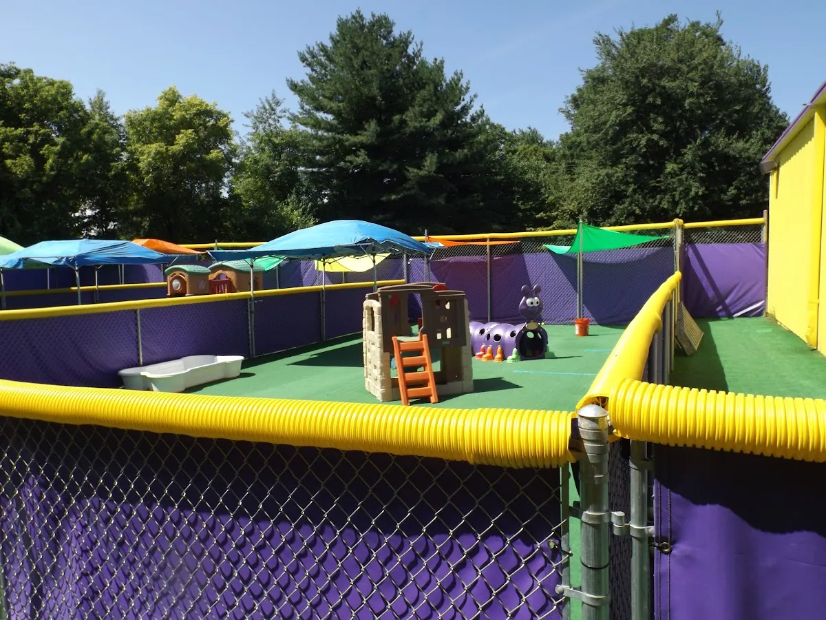 Central Bark Falls Township