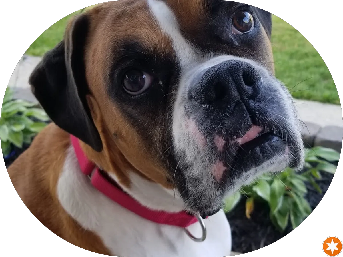 Central Coupland Home Comfort photo 3