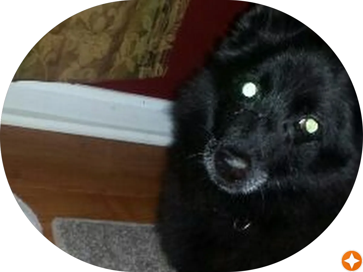 CENTURY 21 Town & Country Realty