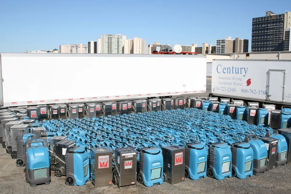 Century Carpet Cleaning