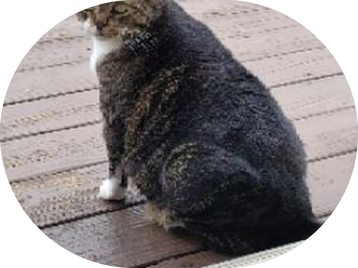 Certified Dermatology