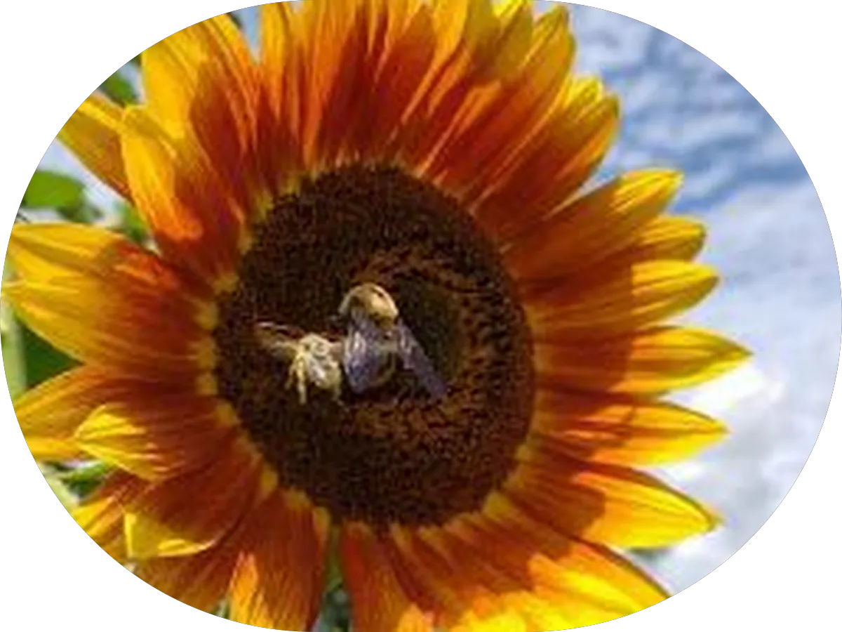 Certified Dermatology photo 4