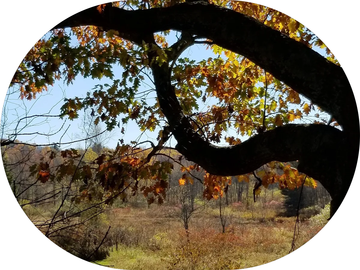 CFB Promotional Products LLC photo 5