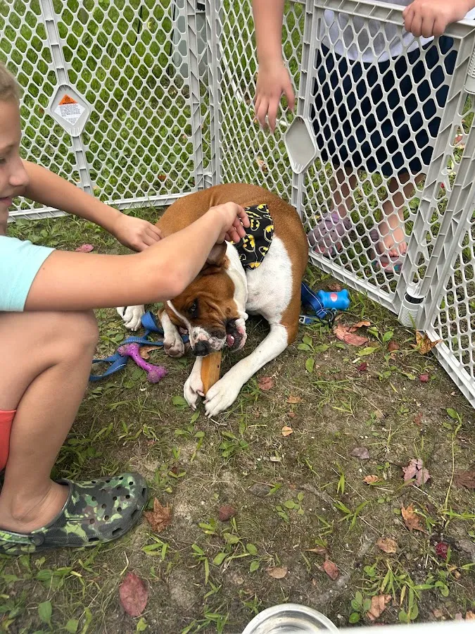 Champion Dog Products