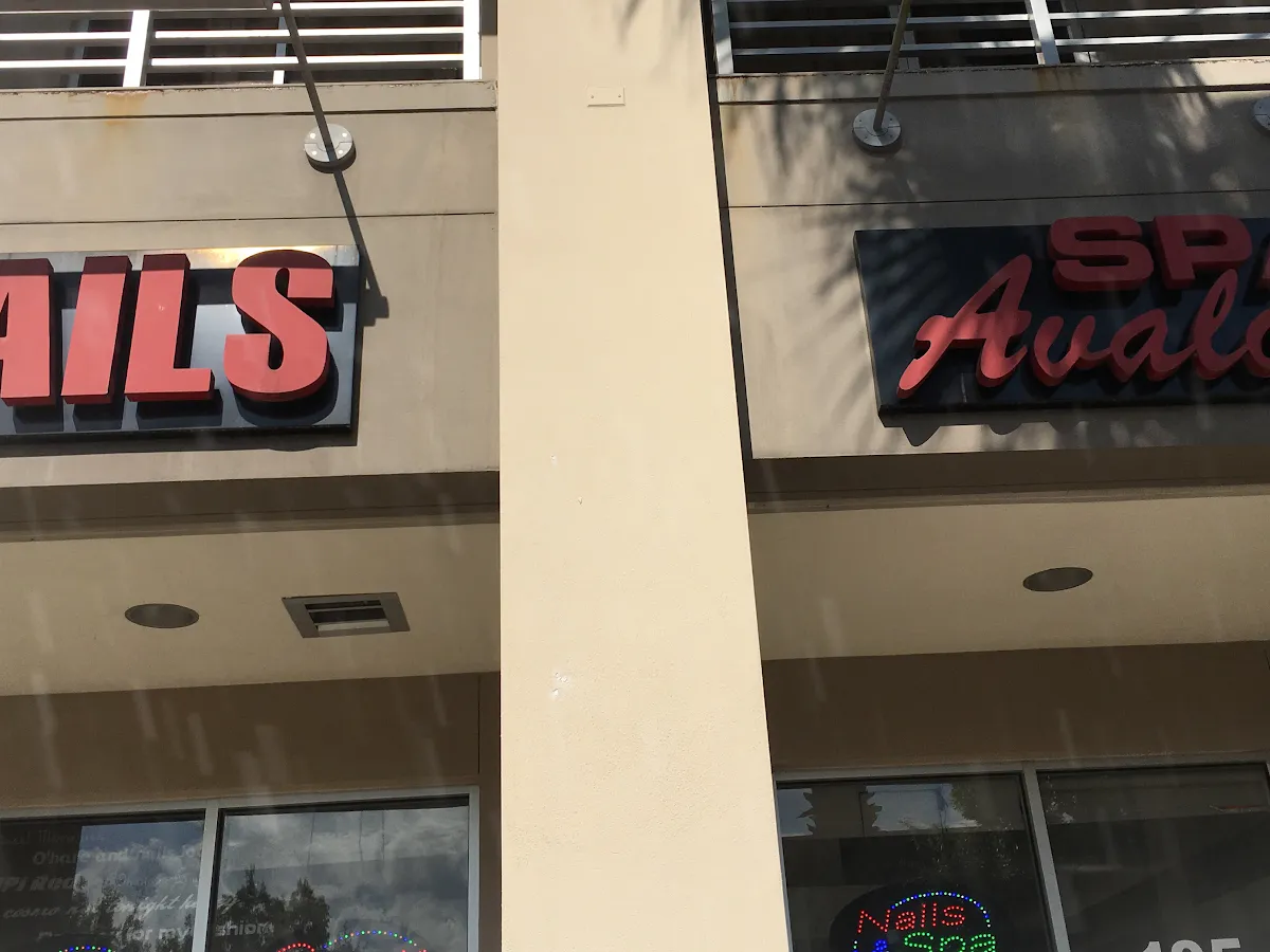 Championship Martial Arts - Avalon Park photo 4