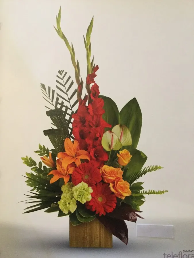 Cheerful Dragonfly photo 4