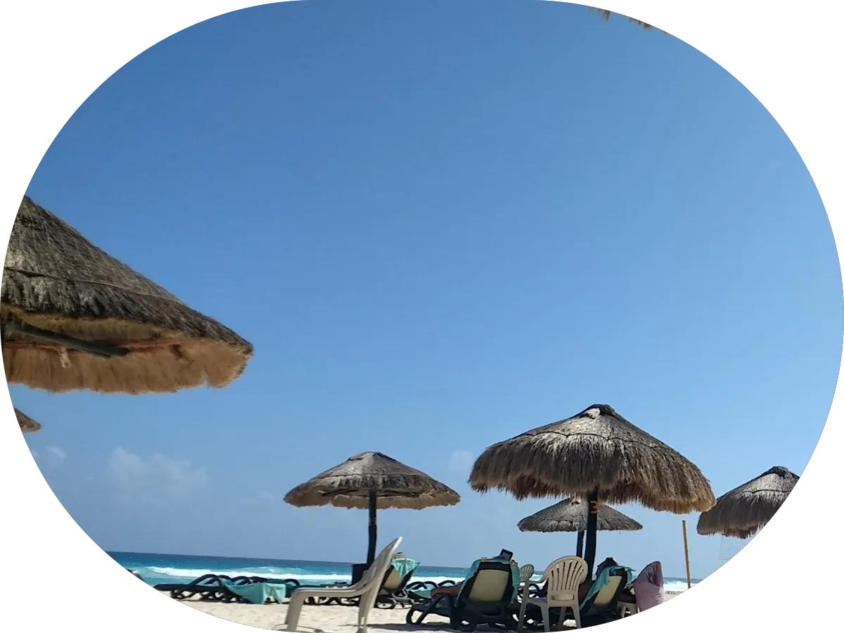 Chen & Associates Inc photo 5