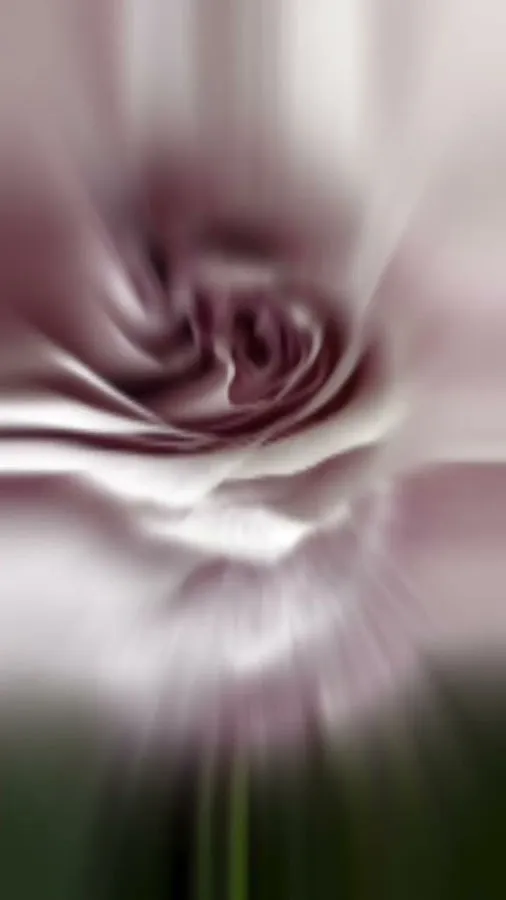 Cherry Blossoms Florist photo 4