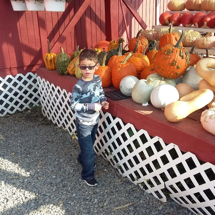 Cheyenne's Road Market photo 2