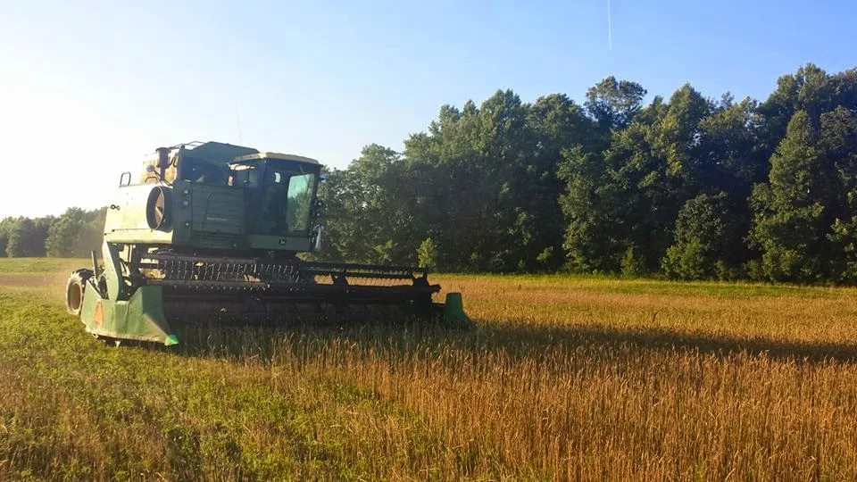 Cheyenne's Road Market photo 3