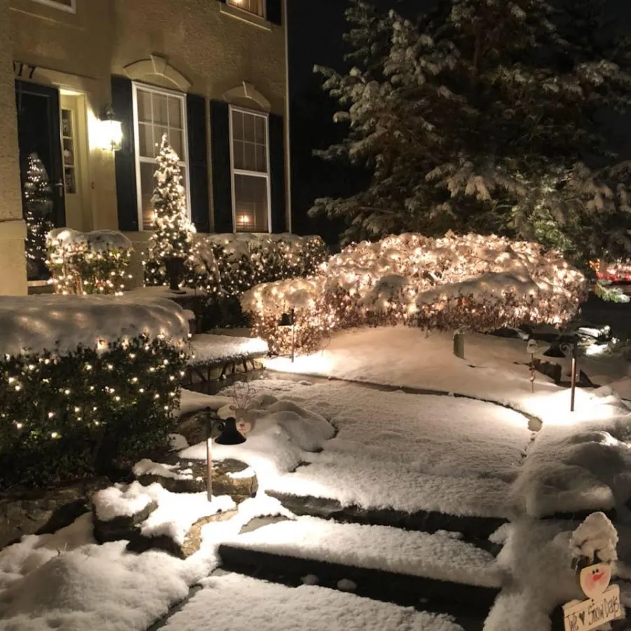 Chinappi Landscaping LLC photo 3