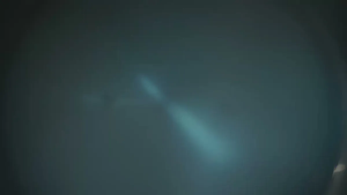 Chipotle Mexican Grill photo 5