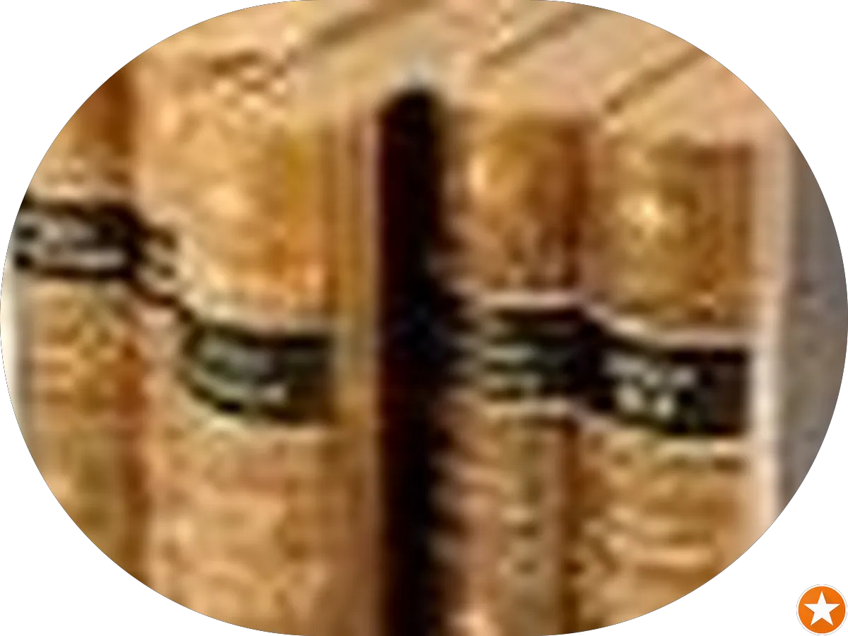 Chip's Custom Upholstery & Boat Upholstery photo 4