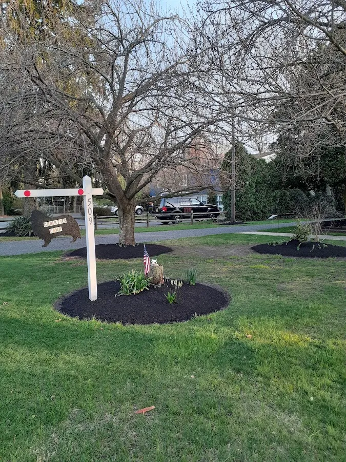 Christys Canine Camp