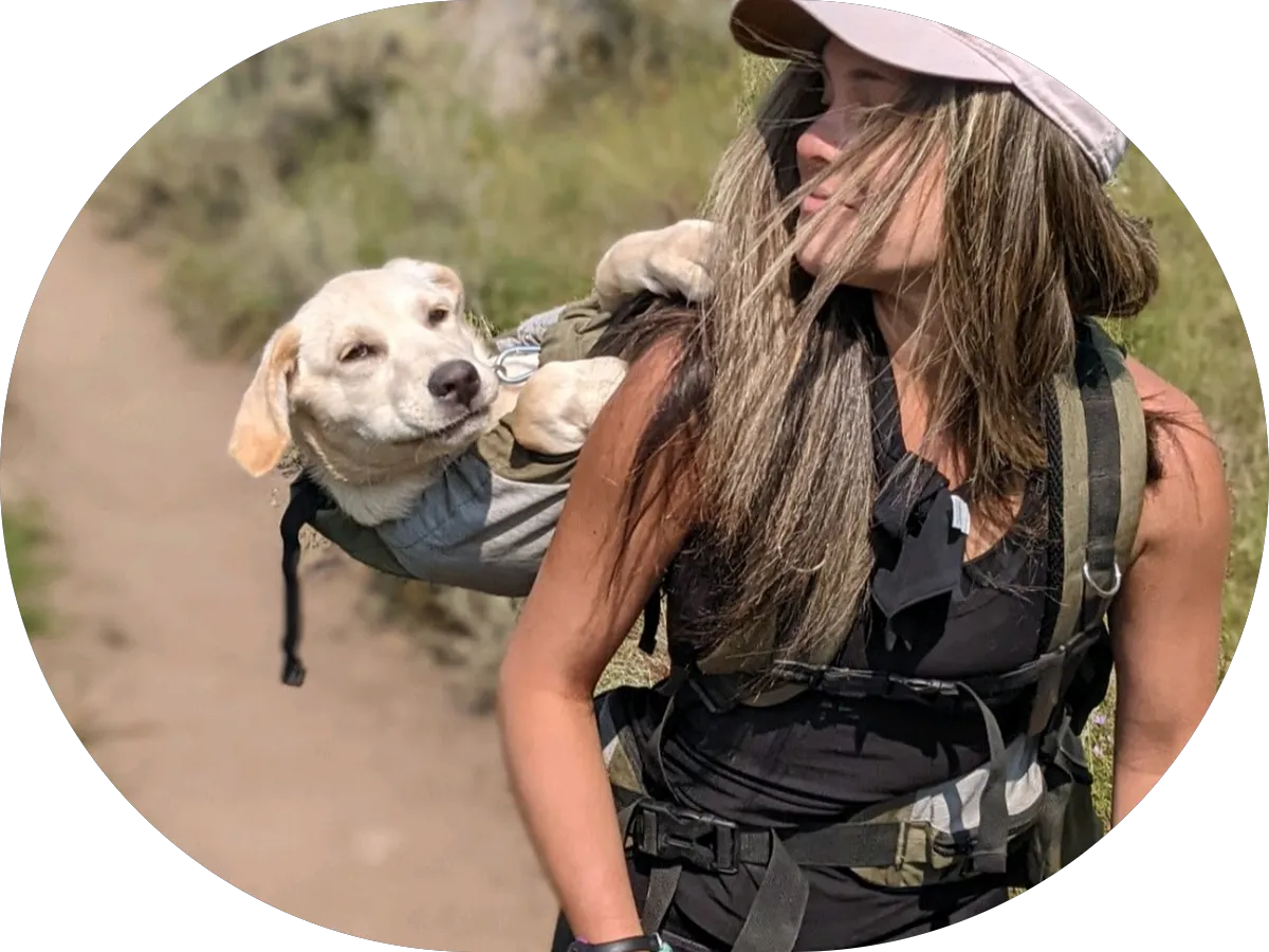 Christys Canine Camp photo 4