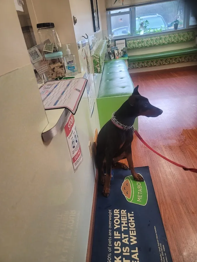 Church Road Animal Hospital photo 3