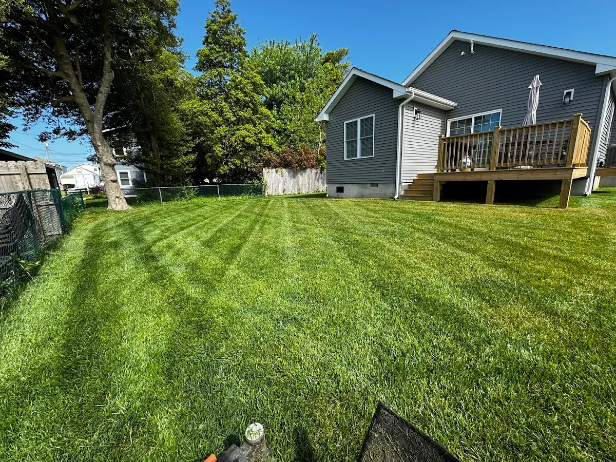 Cileone Lawn Maintenance