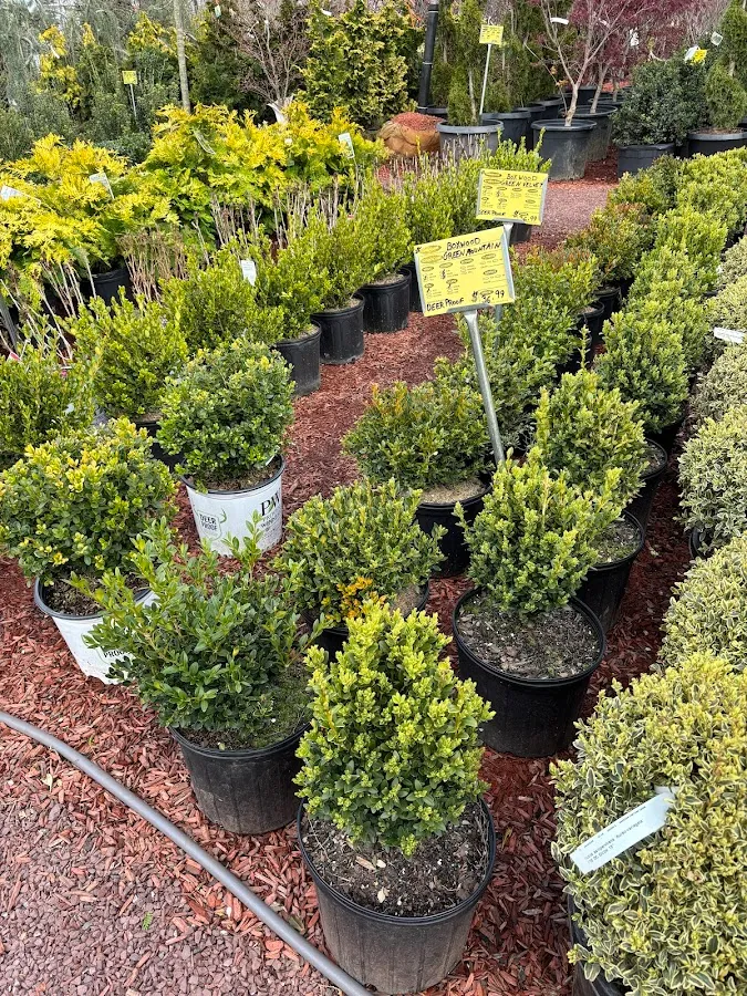 Circle Garden Center