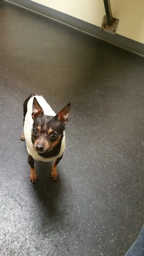 Clayton Veterinary Associates photo 2