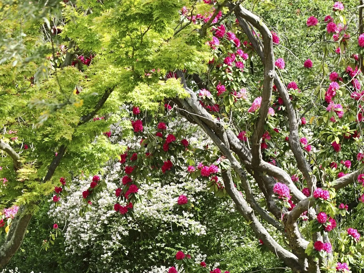 Clean Cut Lawn & Snow Service