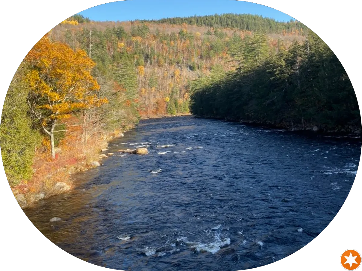 Coastal Motor Truck & Auto LLC photo 5