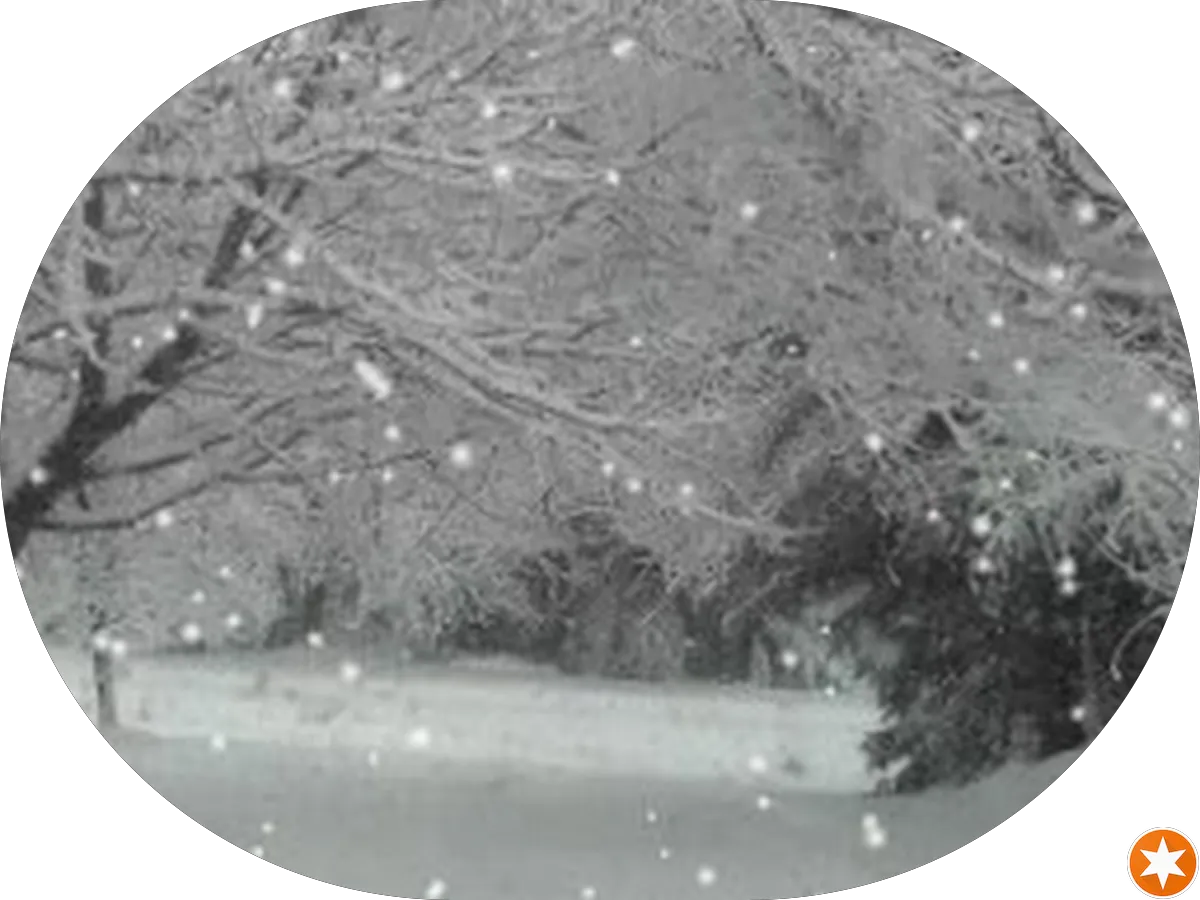 Coastview Cabinetry Studio