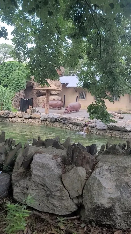 Colalillo Orthondontics photo 2