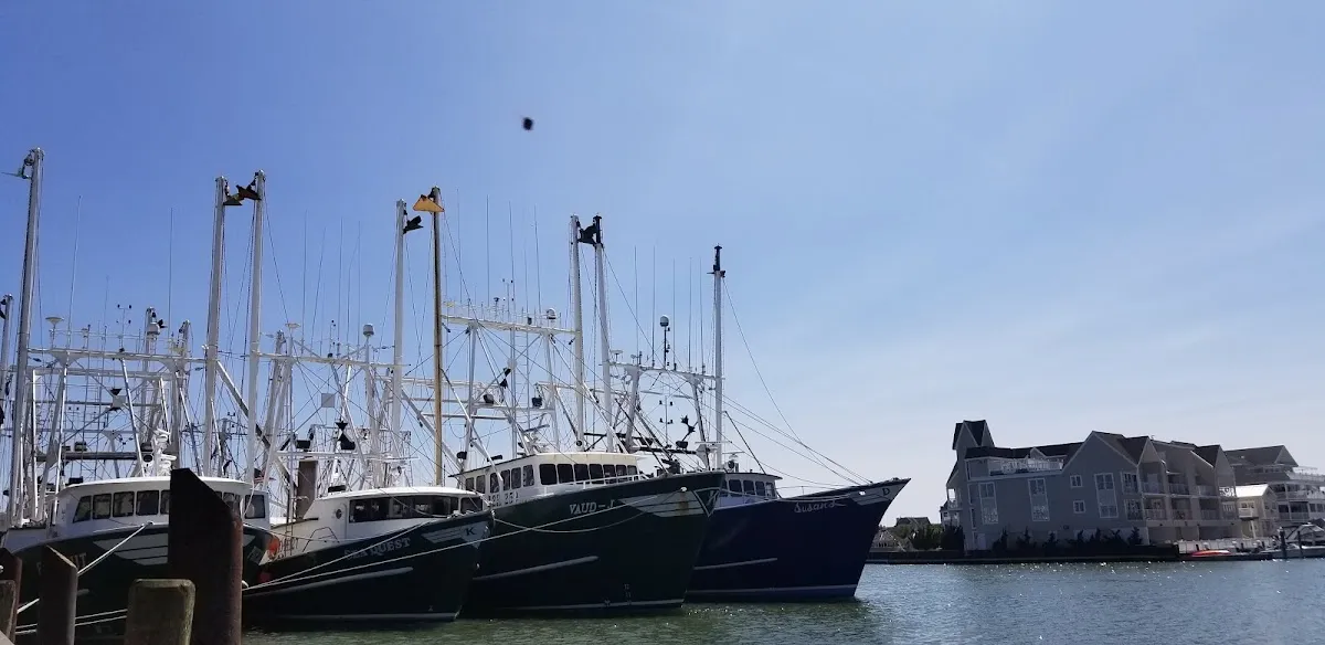 Cold Spring Fish & Supply Co