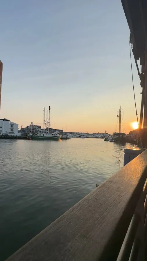 Cold Spring Fish & Supply Co photo 2