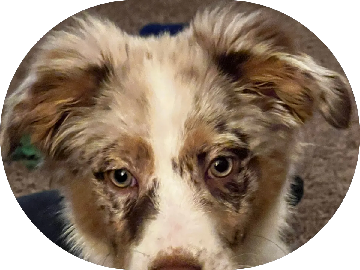 Coldwell Banker James C. Otton Real Estate, Inc. photo 3