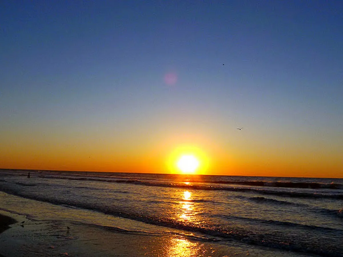 Coldwell Banker: William Albrecht