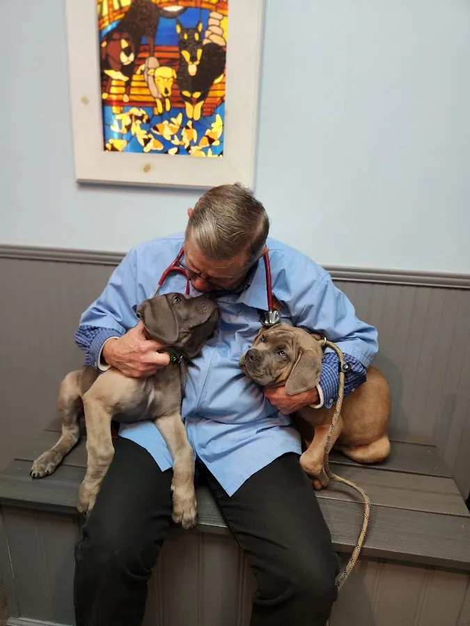 Cologne Animal Hospital