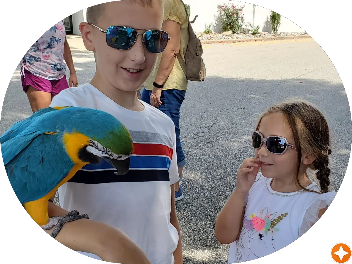 Colonial Meat Market photo 5