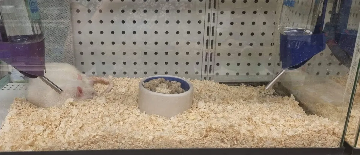 Columbus Pet Supplies photo 3