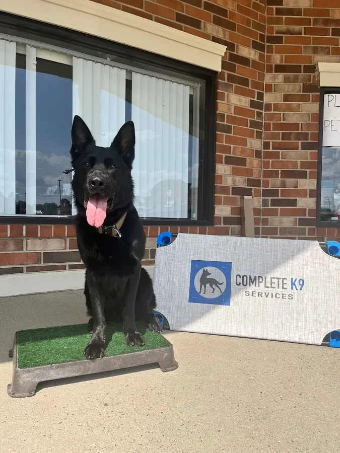 Complete K9 Services photo 3
